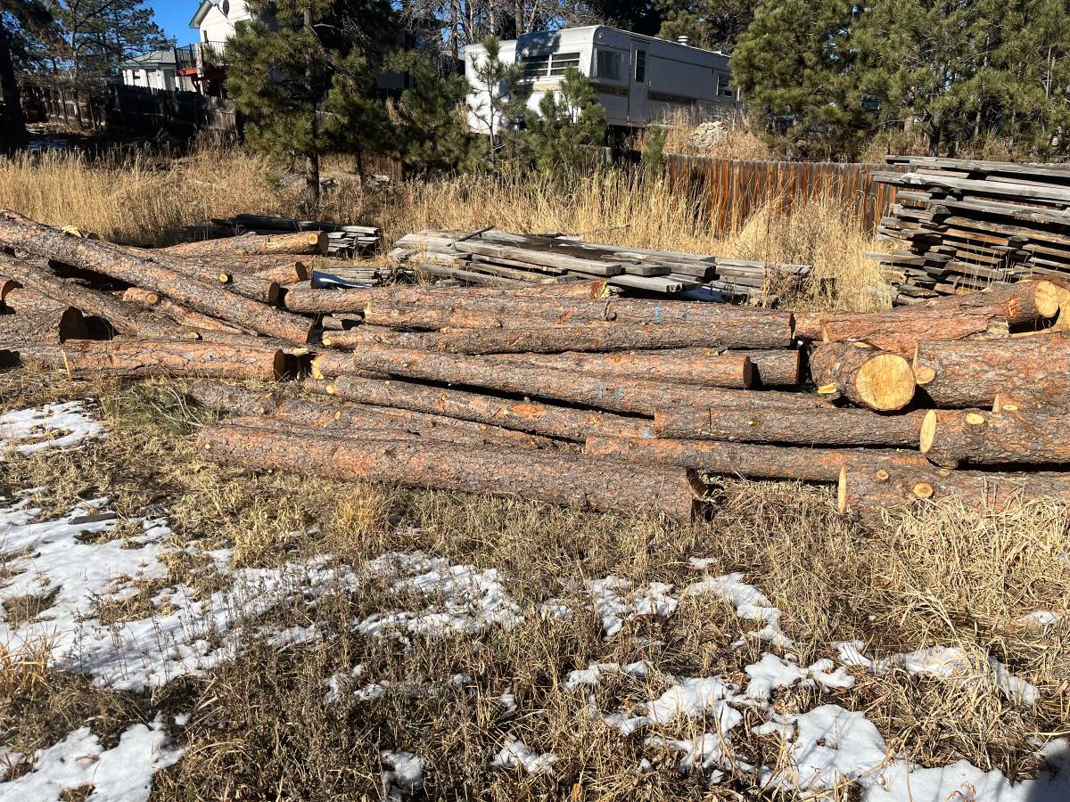 picture of firewood logs to be cut